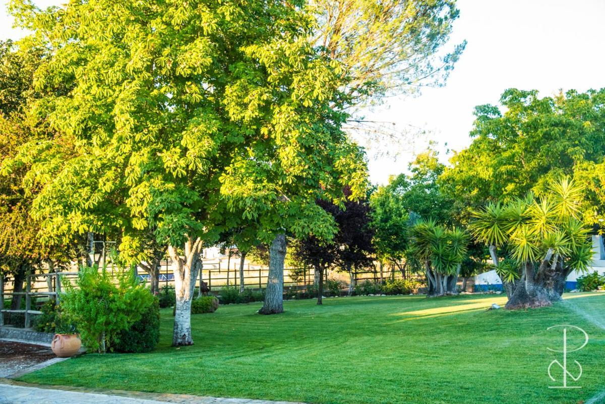 Quinta Do Poco Novo Villa Alcáçovas Kültér fotó